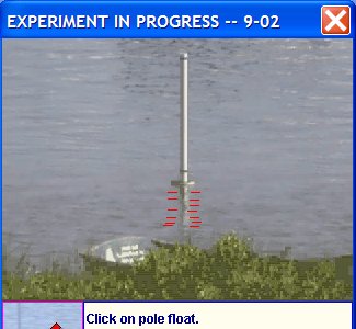 screen shot of Daily Tides real online lab